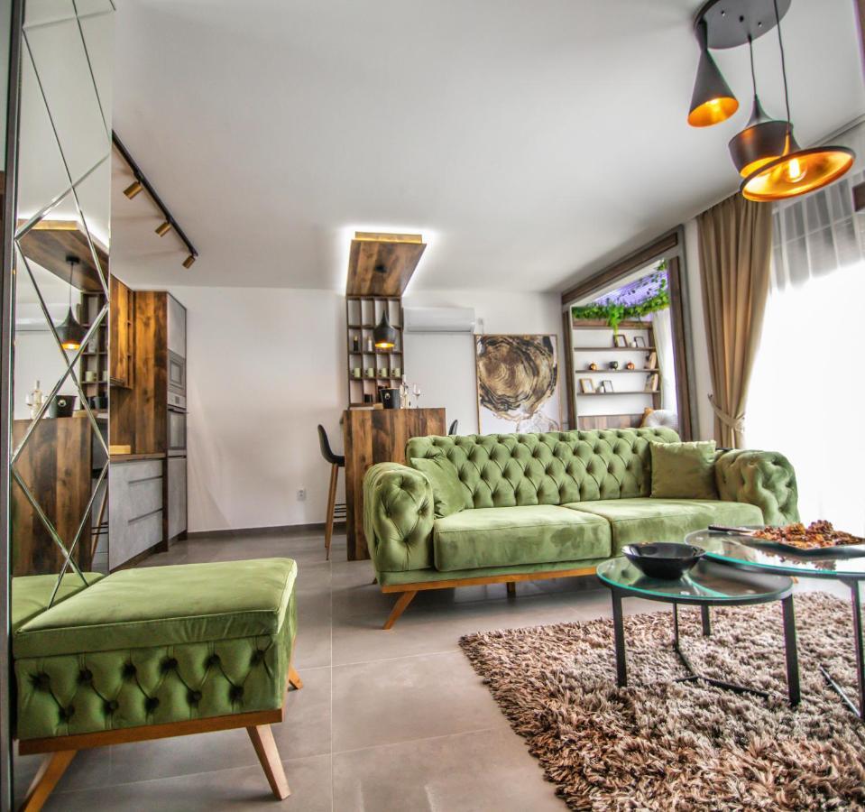 Royal Luxury Apartment Vrsac Exterior foto